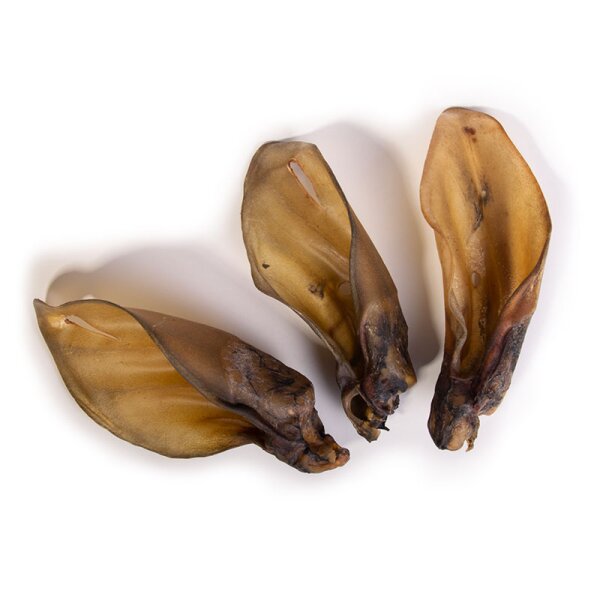 50 D. Rinderohren