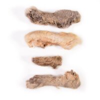 Kaninchenpfoten mit Fell