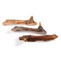 Kaninchenpfoten ohne Fell