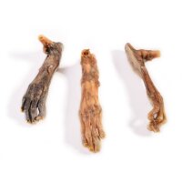 Kaninchenpfoten ohne Fell