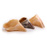 Rinderhufe ungefüllt