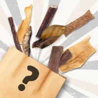 Wundert&uuml;te mit Hundekauartikeln &ndash;...
