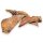 Rinder Schulterblatt 500g
