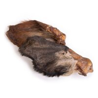 5 Rinderohren mit Fell