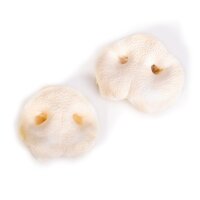5 Schweinenasen wei&szlig;