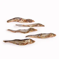 Sprotten klein 100g