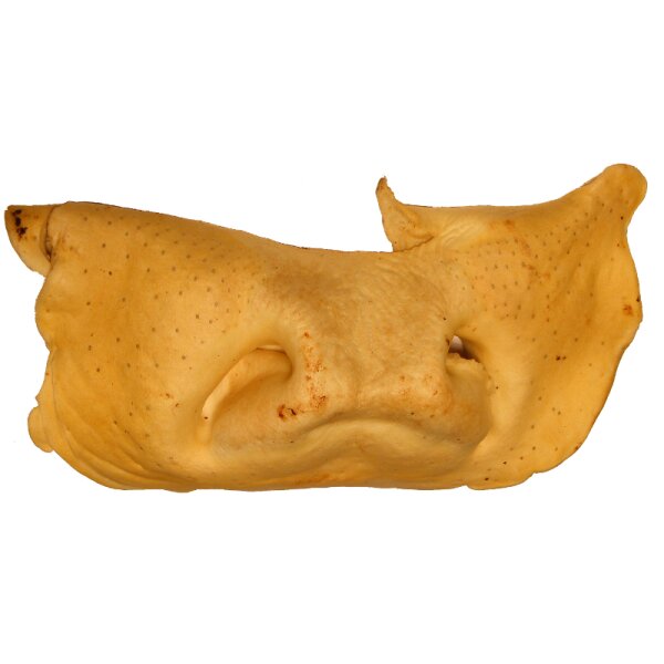 Rindernasen hell 2,5kg
