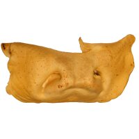 Rindernasen hell 2,5kg